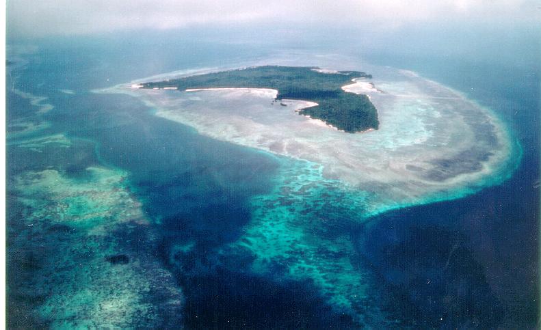 Keindahan Bawah Laut Pulau Hoga. Terindah Di Dunia  # 